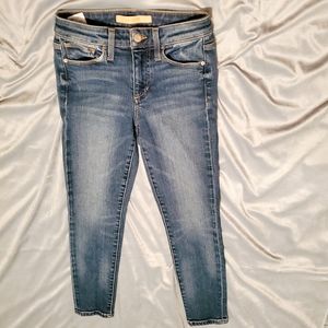 Joe's Jeans ICON Skinny Crop EUC